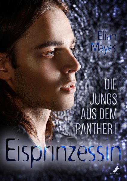 Cover von Die Jungs aus dem Panther