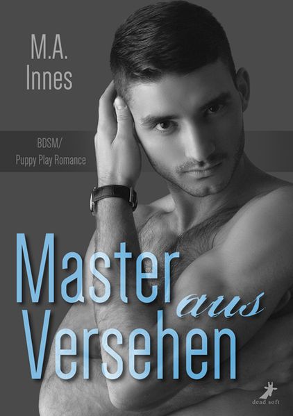 Cover von Master aus Versehen