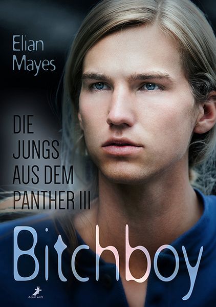 Cover von Die Jungs aus dem Panther 3: Bitchboy