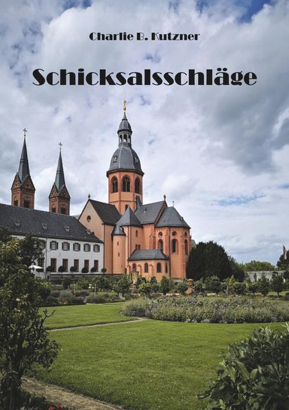 Cover von Schicksalsschläge