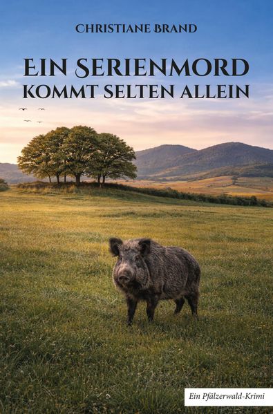 Cover von Ein Serienmord kommt selten allein