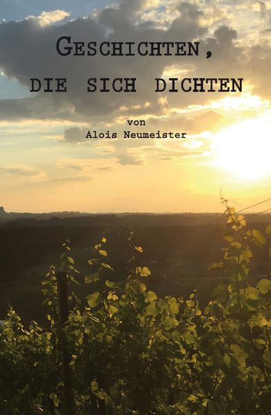 Cover von Geschichten, die sich dichten