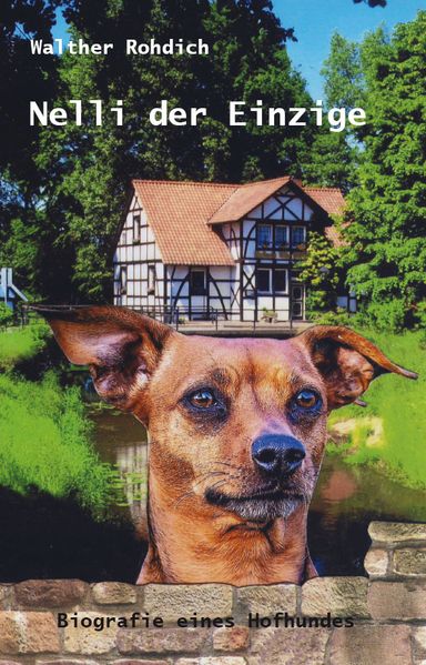 Cover von Nelli der Einzige