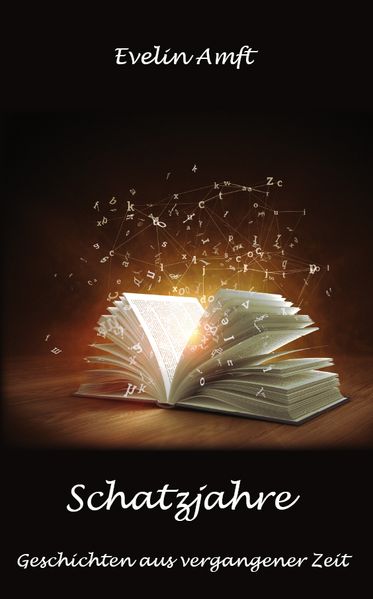 Cover von Schatzjahre