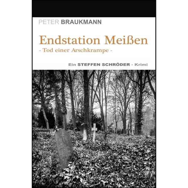Cover von Endstation Meißen