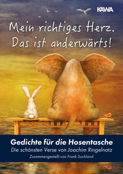 Cover von Mein richtiges Herz. Das ist anderwärts!