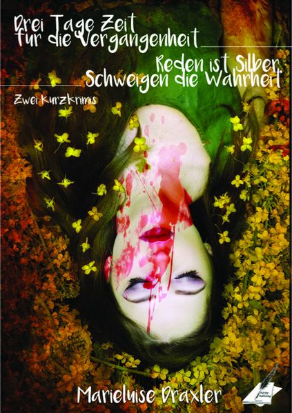 Cover von Drei Tage Zeit für die Vergangenheit – Reden ist Silber, Schweigen die Wahrheit