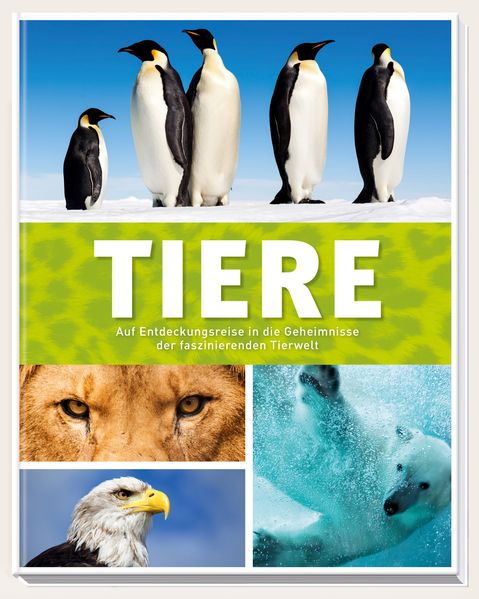 Cover von Tiere