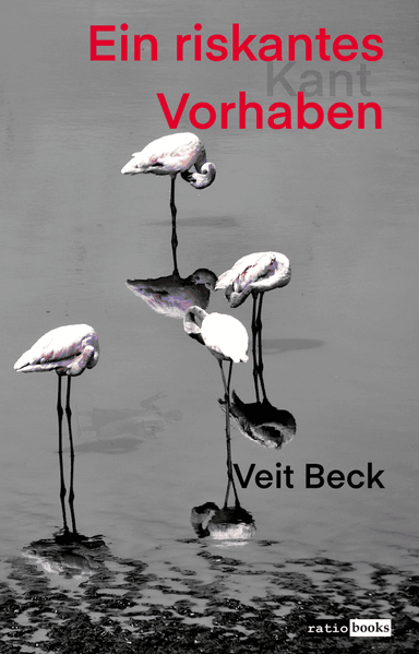 Cover von Ein riskantes Vorhaben