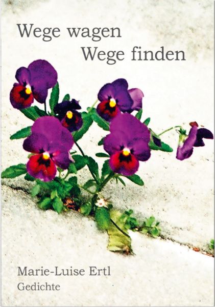 Cover von Wege wagen – Wege finden