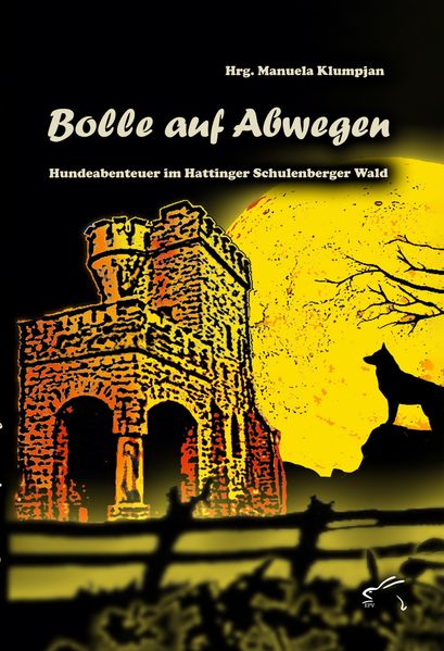 Cover von Bolle auf Abwegen