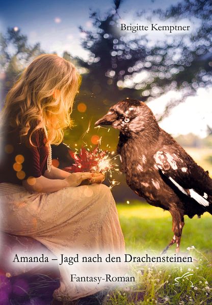 Cover von Amanda – Jagd nach den Drachensteinen
