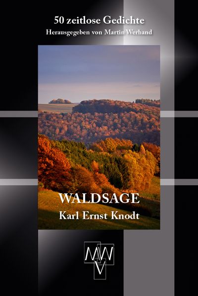 Cover von Waldsage