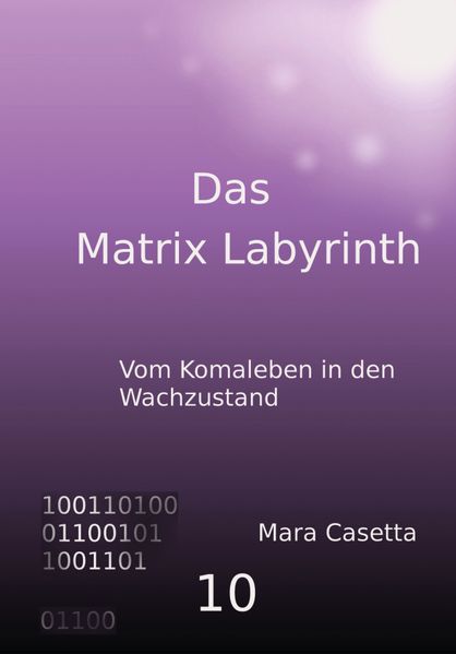 Cover von Das Matrix Labyrinth