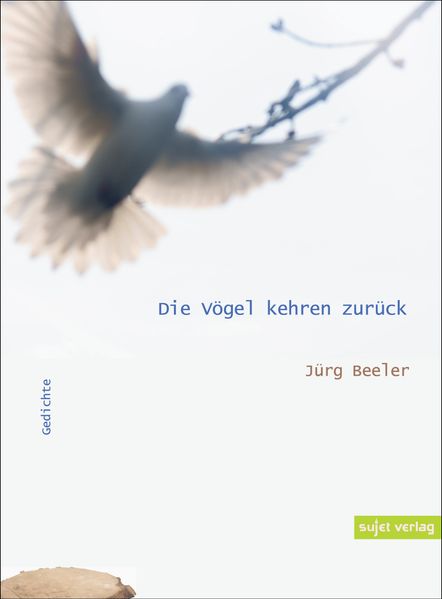 Cover von Die Vögel kehren zurück