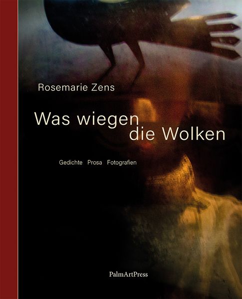 Cover von Was wiegen die Wolken