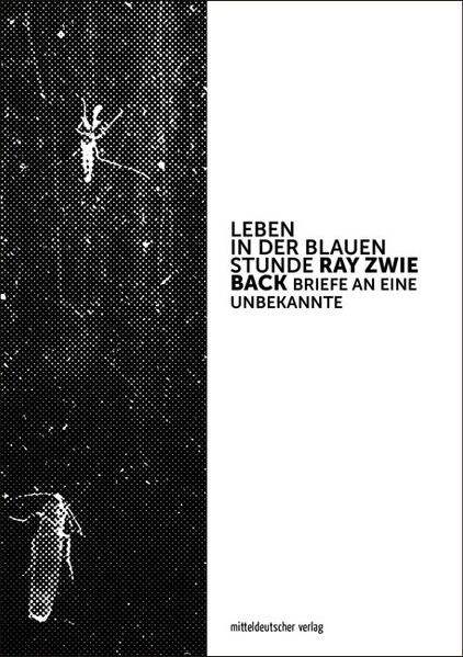 Cover von Leben in der blauen Stunde