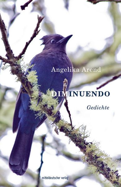Cover von Diminuendo