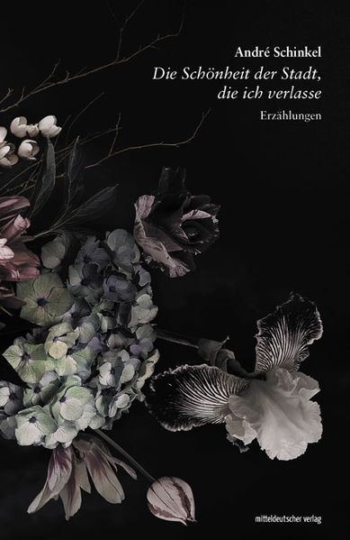 Cover von Die Schönheit der Stadt, die ich verlasse