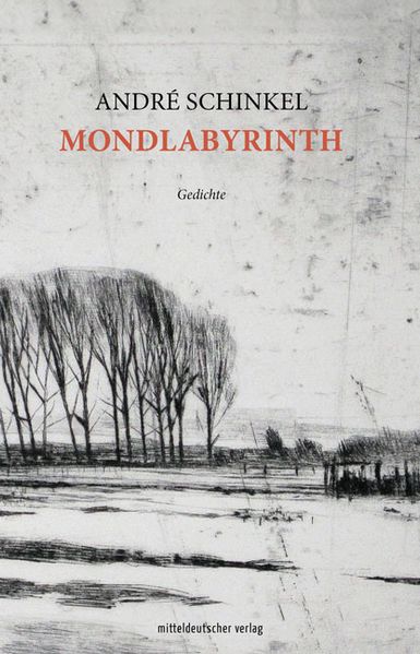 Cover von Mondlabyrinth