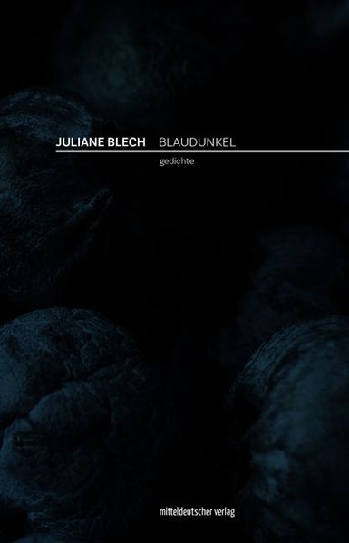 Cover von Blaudunkel