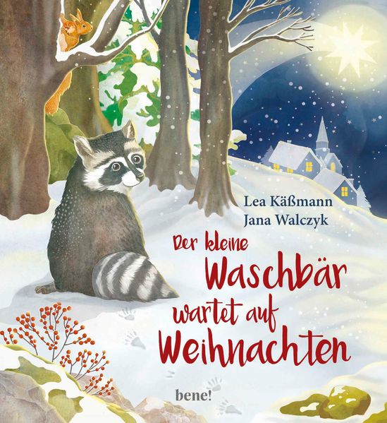 Cover von Der kleine Waschbär wartet auf Weihnachten