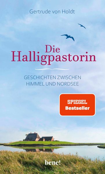 Cover von Die Halligpastorin