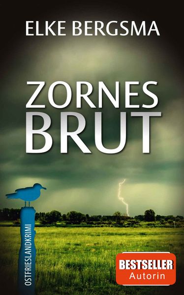 Cover von Zornesbrut