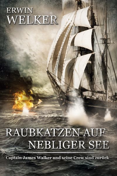 Cover von Raubkatzen auf nebliger See
