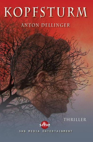 Cover von Kopfsturm