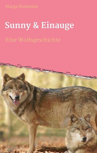 Cover von Sunny & Einauge
