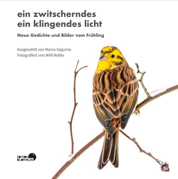 Cover von Ein zwitscherndes ein klingendes Licht