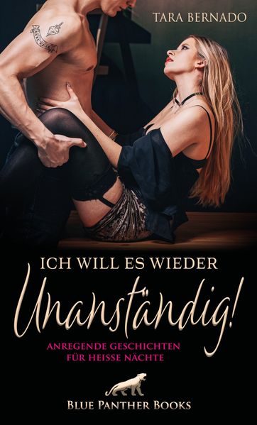 Cover von Ich will es wieder unanständig!