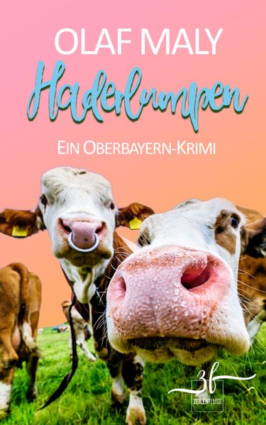 Cover von Haderlumpen