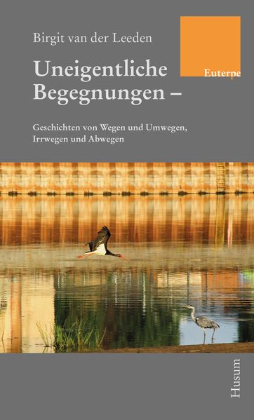 Cover von Uneigentliche Begegnungen