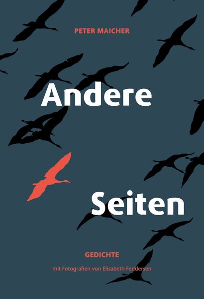 Cover von Andere Seiten