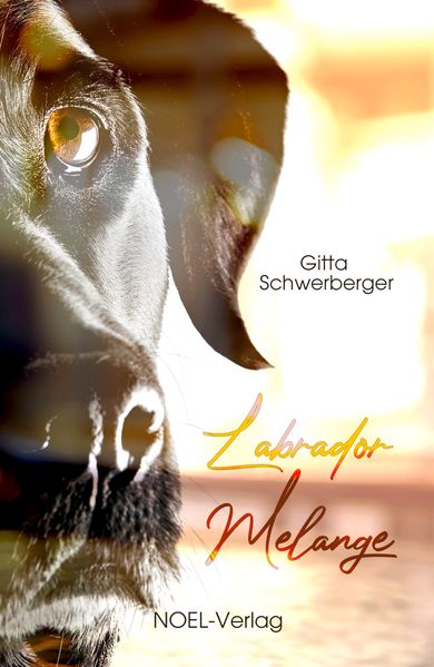 Cover von Labrador Melange