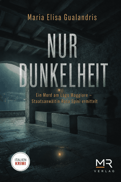 Cover von Nur Dunkelheit