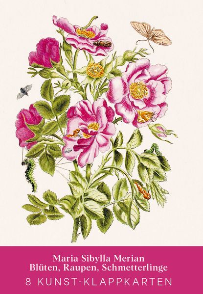 Cover von Maria Sibylla Merian – Acht Kunst-Klappkarten