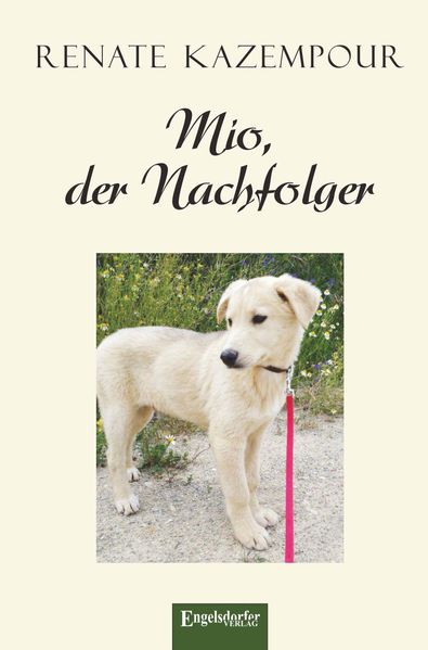 Cover von Mio, der Nachfolger
