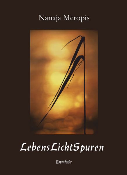 Cover von LebensLichtSpuren