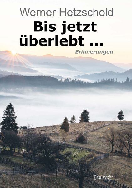 Cover von Bis jetzt überlebt