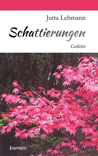 Cover von Schattierungen