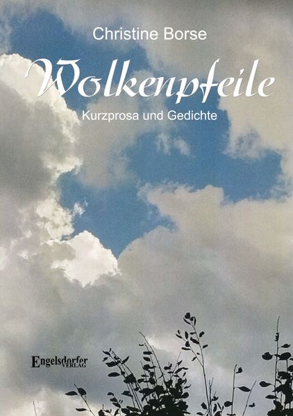 Cover von Wolkenpfeile