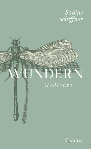 Cover von Wundern