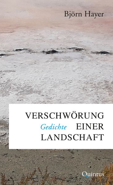 Cover von Verschwörung einer Landschaft