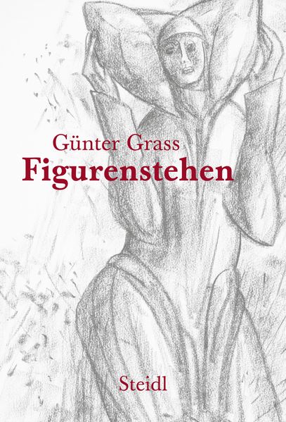 Cover von Figurenstehen