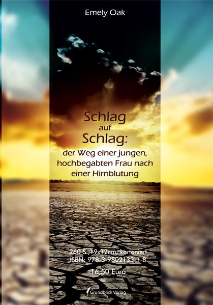 Cover von Schlag auf Schlag: der Weg einer jungen, hochbegabten Frau nach einer Hirnblutung