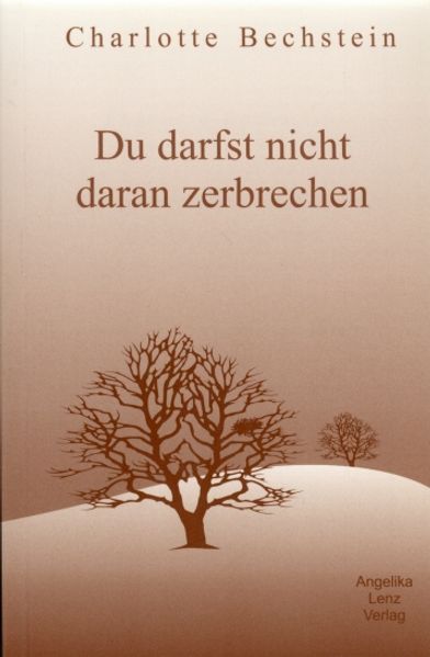 Cover von Du darfst nicht daran zerbrechen