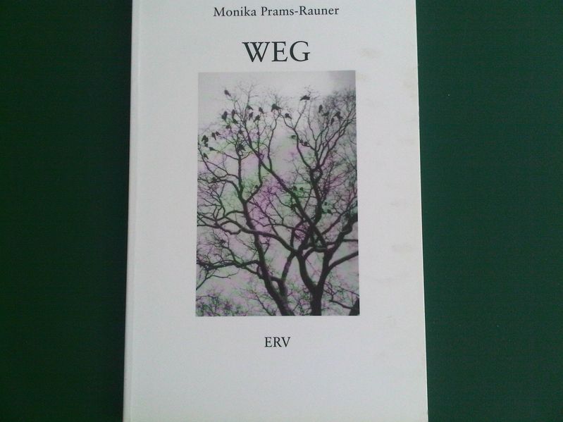 Cover von Weg